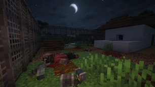 Survivor camp