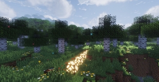 Spring Froest