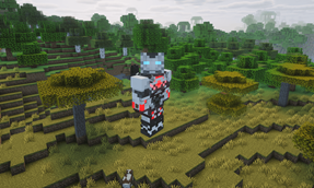 image4.png
