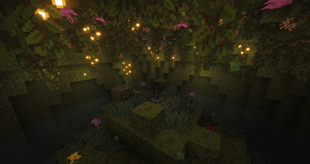 Sanctuary of the enchanted sword- Confluence mod