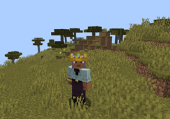 Crown on player