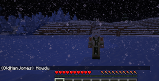 Character In Game