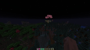 Overworld Dimension type