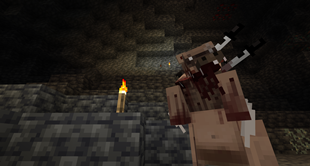 Scarred Zear