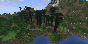 Screenshot 2026-06-16 170827.png
