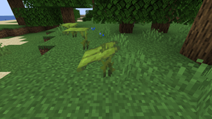 Water Effects and Drying Out