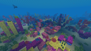 Warm Ocean