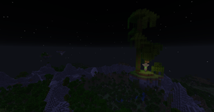Jungle
