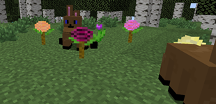 Hoppy + Purple Tulip + Dahilas