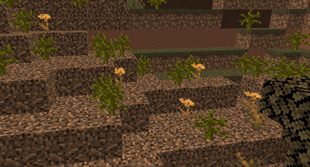 Shrub + Dried Cornflower