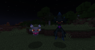 alternative_shiny_night.png