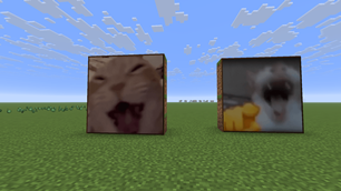 formodpicture222.png