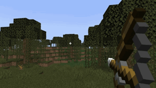 Video Project.gif