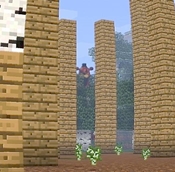 Screenshot 2026-06-17 135409.jpg