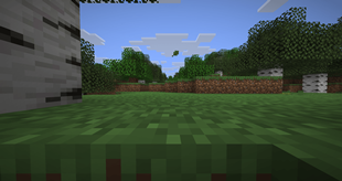 Without Grass