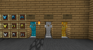 SalwyrrLauncher 17-06-2026 21.02.17.png