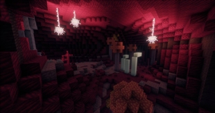 Flesh Biome