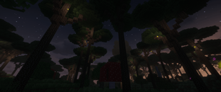 Twilight Forest