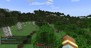paths.jpg