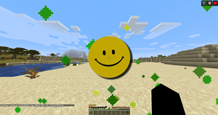 Use Verity Totem