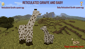 Rreticulated Giraffe and her baby