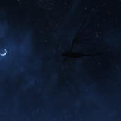 Night Fury