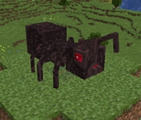 edfmcpic4.jpg