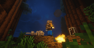 Starry Night