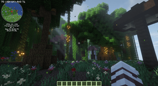 Forgotten Forest.png