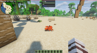 Cute Little Crabs.png