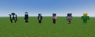All 6 entities