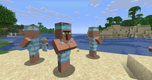 Beach.png