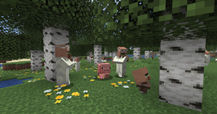 Birch_Forest.png