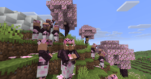 Cherry_Grove.png
