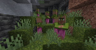 Lush_Cave.png