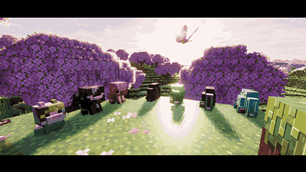 2026-06-19_17.23.50_11zon.png