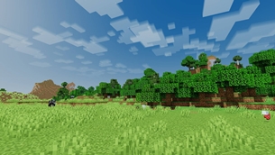 Screenshot 12