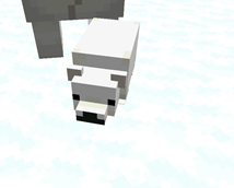 Poalr bear!