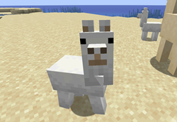 Llama(no se como se escribe en ingles)!
