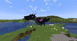 End Wyvern