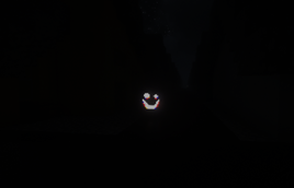 Smiler