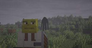 19.png