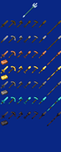 item grid 1.0 .png