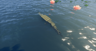 ezgif-359b35741e579da3.png