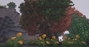 ezgif-379320d8c1251cbd.png