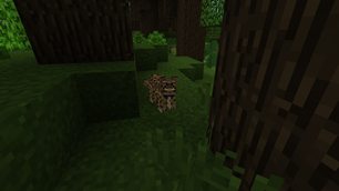 Mainland Clouded Leopard
