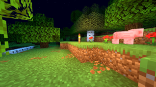Forest during night with USL