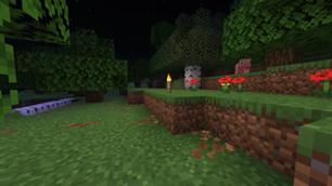 Forest during night without USL