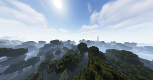Foggy Landscape