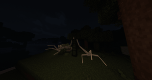 The Stalker